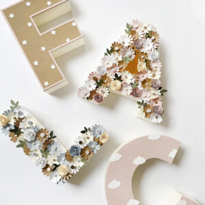 Lettere 3d