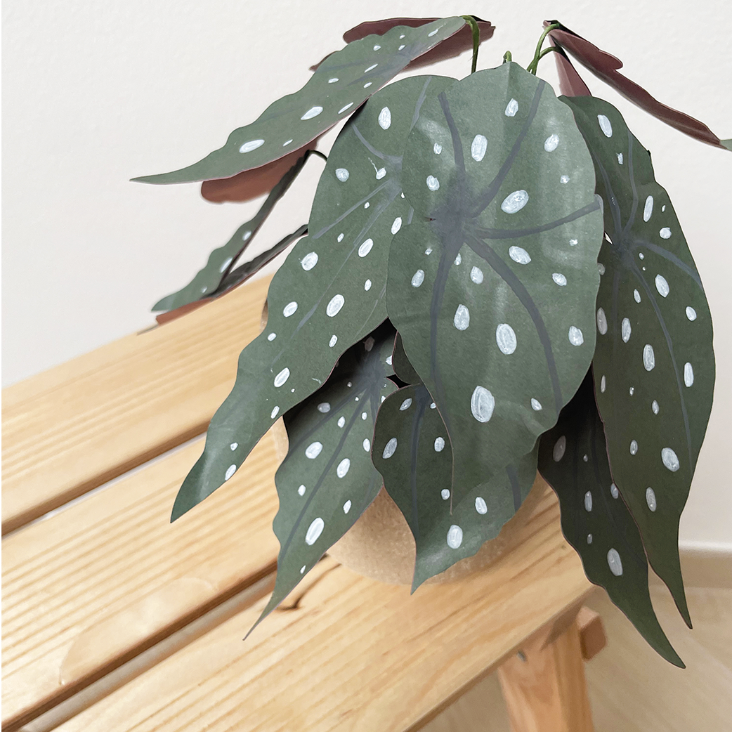 Paper Plants - immagine 3