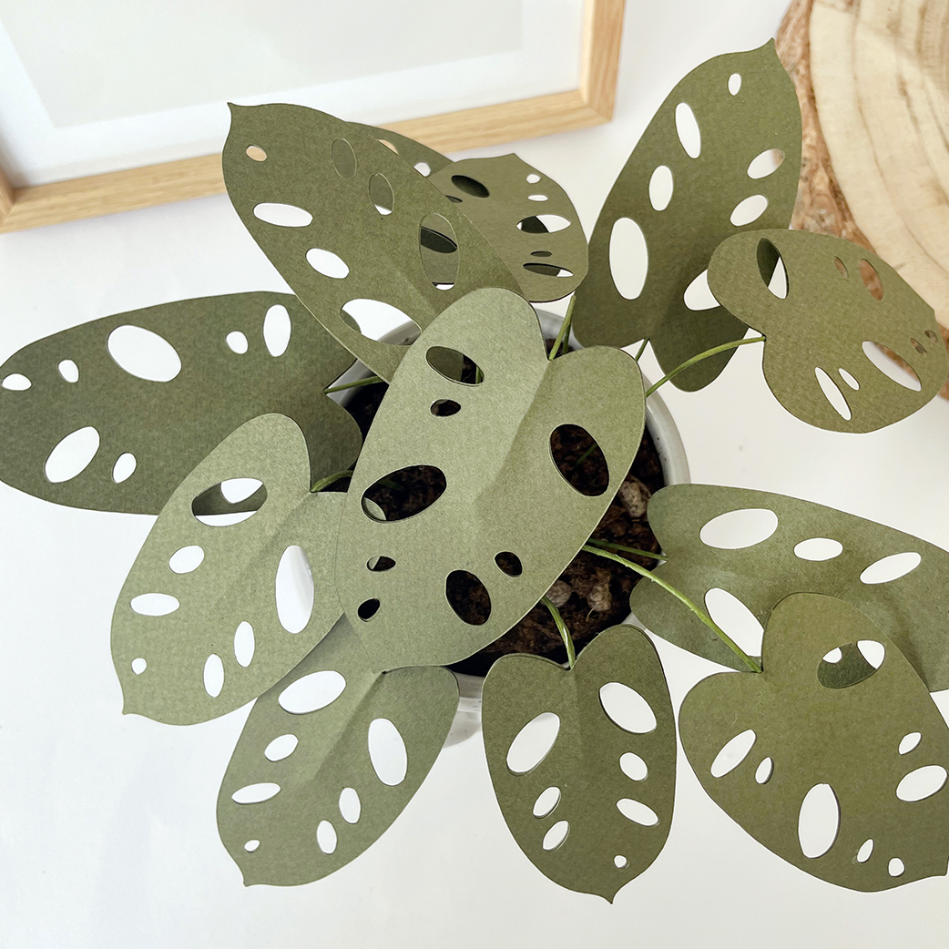 Paper Plants - immagine 7