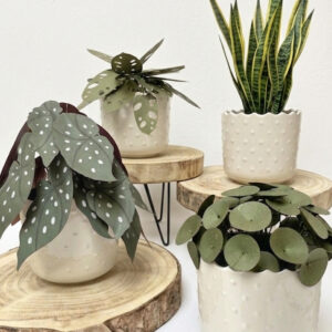 Paper Plants